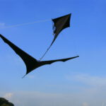 VectorKite